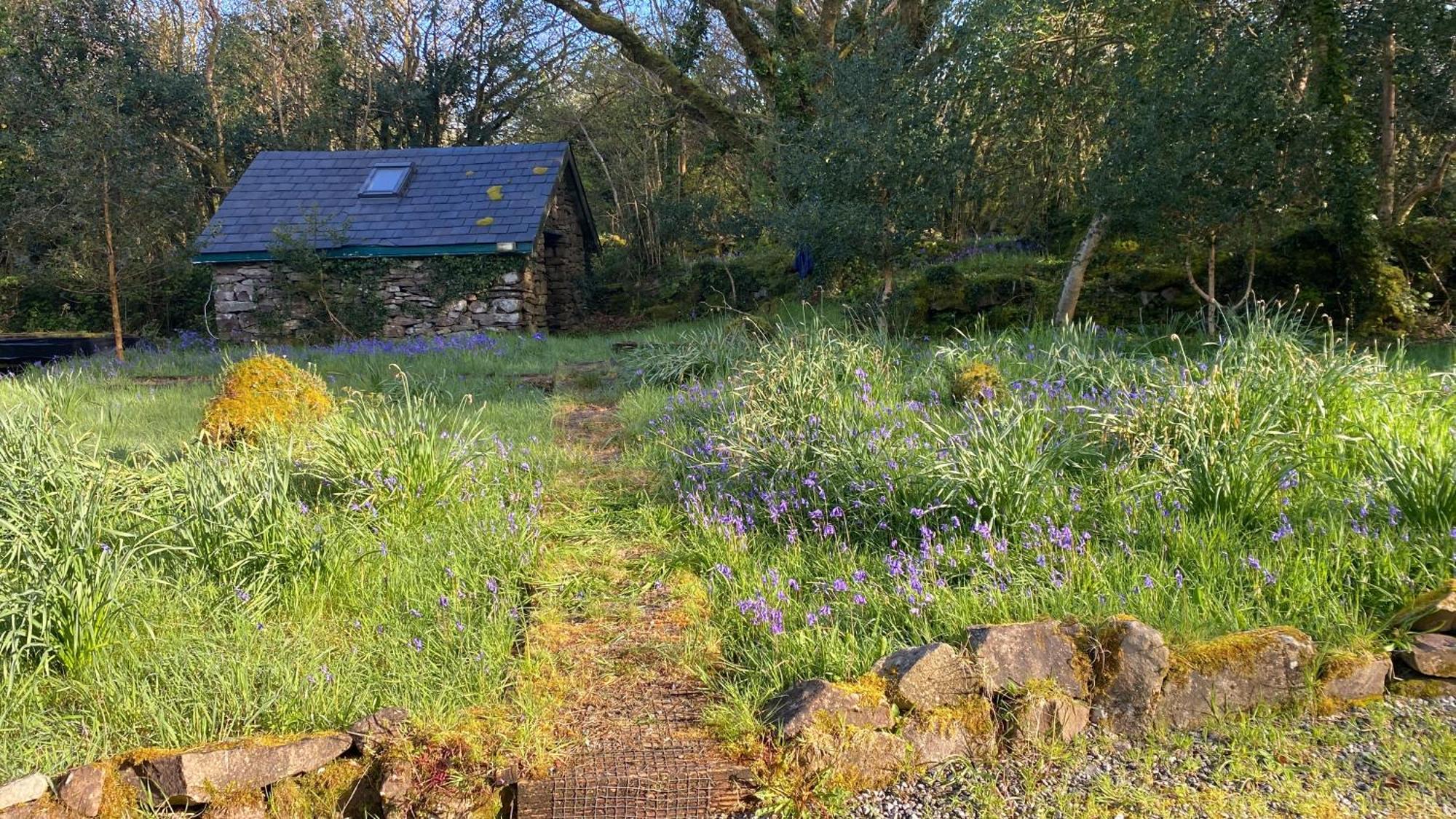 Sligo Forest Retreat Exterior foto