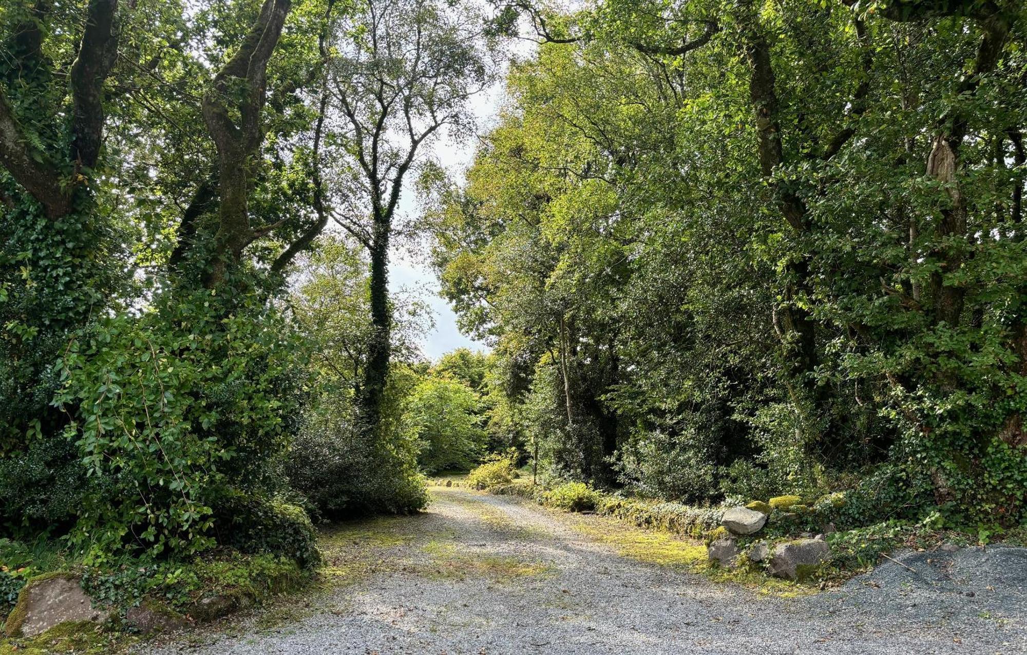 Sligo Forest Retreat Exterior foto