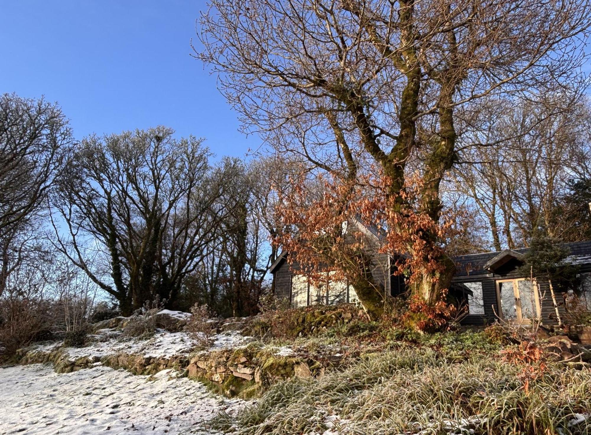 Sligo Forest Retreat Exterior foto